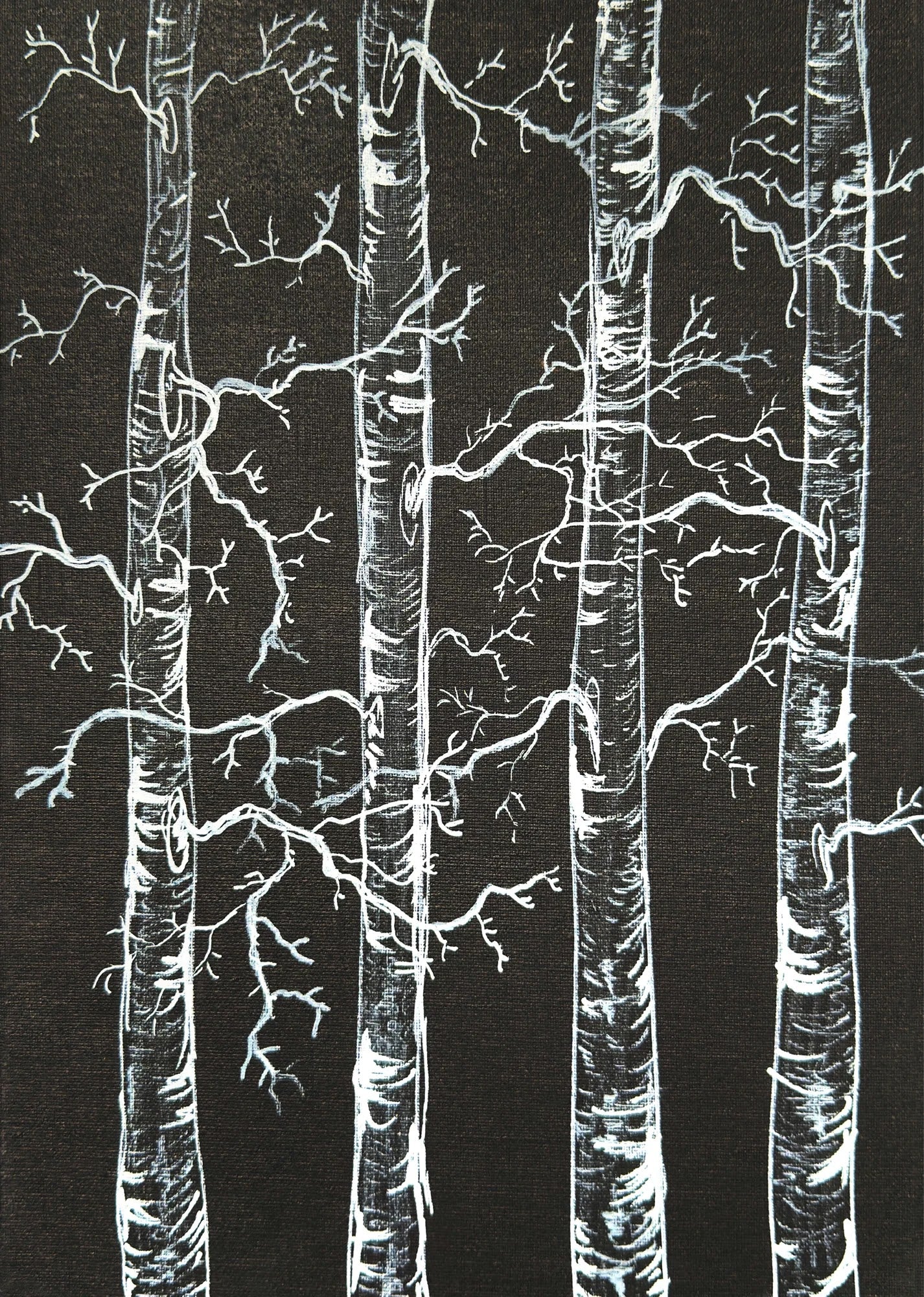 Birches at Midnight by Dragica Buco — unframed art print